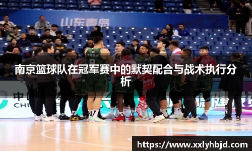 南京篮球队在冠军赛中的默契配合与战术执行分析